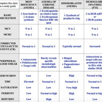 Types Of Anemia Chart