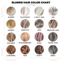 Types Of Blonde Hair Color Chart
