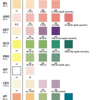 Urinalysis Test Strip Color Chart