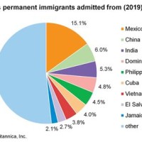 Us Ethnicity Pie Chart 2019