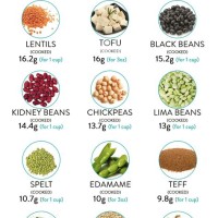 Vegan Protein Sources Chart In India