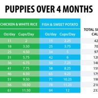 Victor Dog Food Puppy Feeding Chart