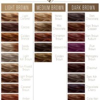 Warm Brown Hair Colour Chart