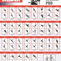 Weider Pro 9645 Workout Chart