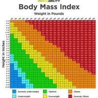 Weight Bmi Chart For Females
