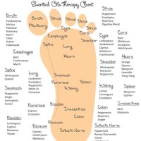 Young Living Essential Oils Foot Chart