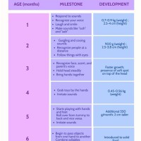 1 Year Old Baby Development Chart