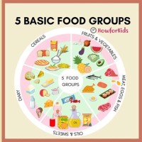 5 Basic Food Groups Chart