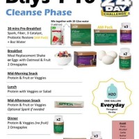 Advocare 10 Day Cleanse Food Chart