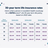 Aig Term Life Insurance Rate Chart