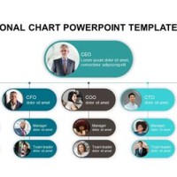 Anizational Chart Template Powerpoint