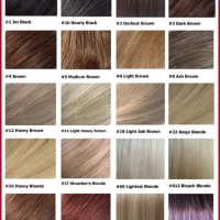 Ash Blonde Bremod Hair Color Chart