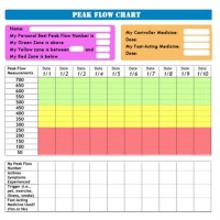 Asthma Peak Flow Chart Excel