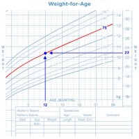 Average Newborn Growth Chart