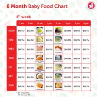 Baby Food Chart 4 6 Months
