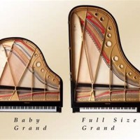 Baby Grand Piano Size Chart