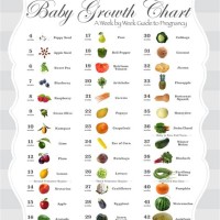 Baby Growth Chart During Pregnancy Fruit