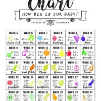 Baby Size Growth Chart By Week