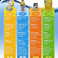 Baby Solid Food Chart Singapore