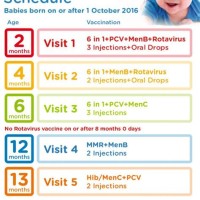 Baby Vaccination Chart Canada