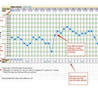 Basal Body Temperature Chart For Thyroid Function