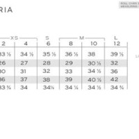 Bcbg Max Mara Size Chart