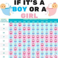 Best Gender Predictor Chart