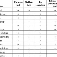Biochemical Test Chart For Identification Of Bacterial Cells