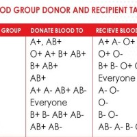 Blood Group Donor And Receiver Chart