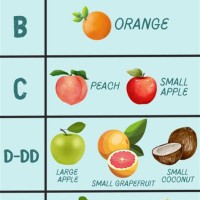 Bra Cup Size Chart Fruit