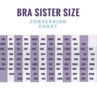 Bra Sister Size Chart Us