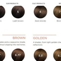 Brown Phyto Hair Color Chart