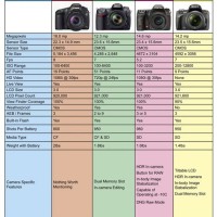 Canon Vs Nikon Dslr Parison Chart