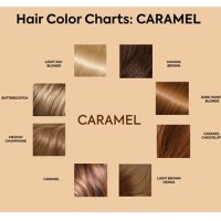 Caramel Blonde Hair Color Chart