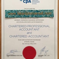 Chartered Accountant Degree In Canada