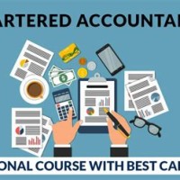 Chartered Accountant Jobs In Usa