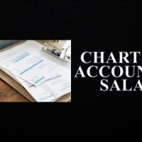 Chartered Global Management Accountant Salary In South Africa