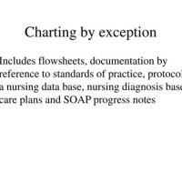 Charting By Exception Meaning Medical