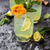 Chartreuse Recipes Drinks