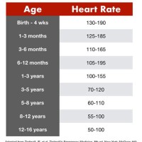 Children S Heart Rate Chart