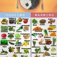 Chinese Medicine Hot Cold Food Chart