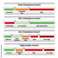 Cholesterol Level Chart Mmol