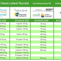 Conversion Chart For Levothyroxine To Nature Throid