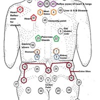 Cupping Therapy Points Chart