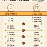 Dog Crate Size Chart By Weight
