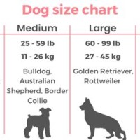 Dog Sizes Chart By Weight