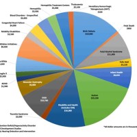 Federal Government Spending Pie Chart 2018
