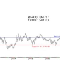 Feeder Cattle Futures Chart