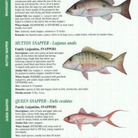 Fishing Charts For Crystal River Florida