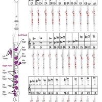 Flute Chart
